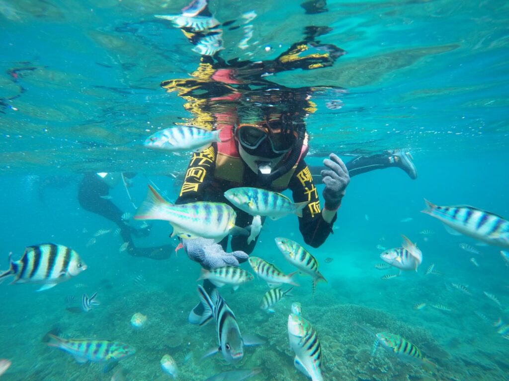 Snorkeling in Shanshui and Suogang Area - Bayhouse Hostel Penghu